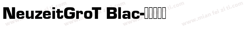 NeuzeitGroT Blac字体转换